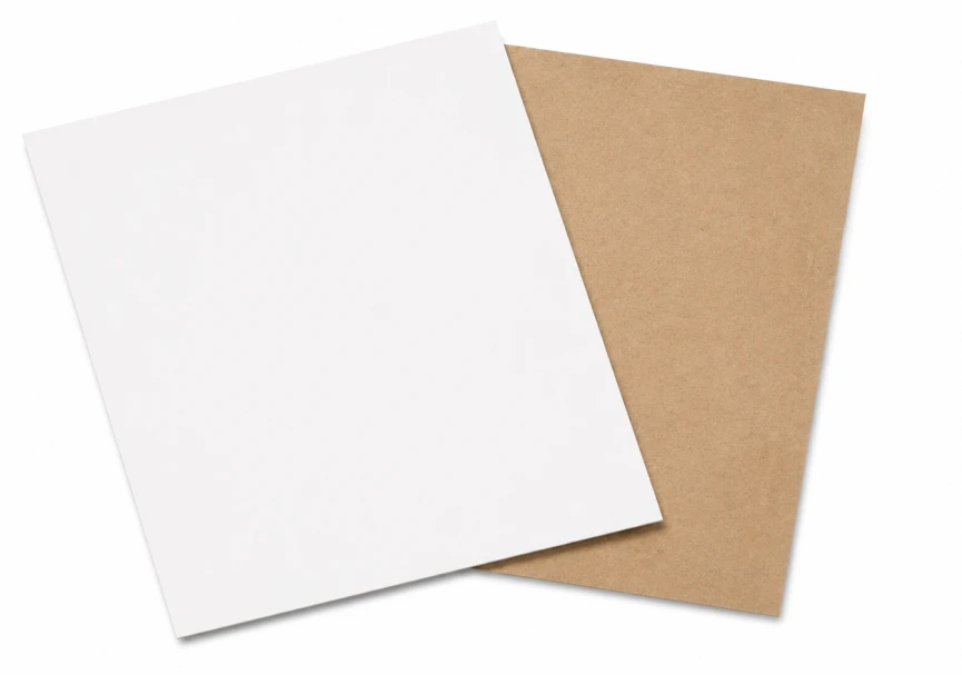 Coated White with Kraft Back