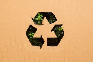 How Cardboard Engineering Supports Circular Design