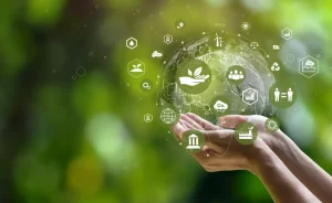 Why Limehouse Board Mills Leads in Ethical Manufacturing