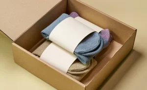 Gift Box Packaging illustration