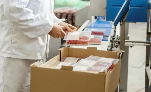 Meat & Fish illustration