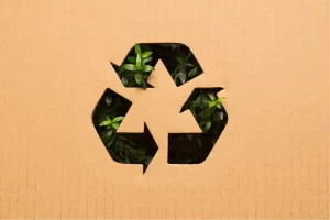 How Cardboard Engineering Supports Circular Design